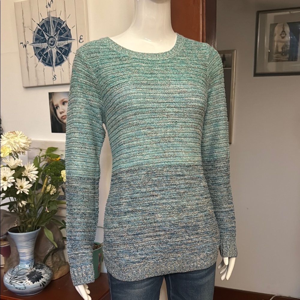 NWT northern reflections size small Women's Blue Sweater